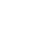 Stem B